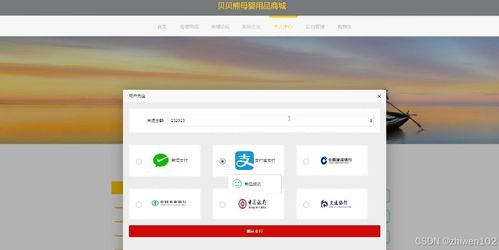 基于Node.js與Vue的貝貝熊母嬰用品商城設計與實現